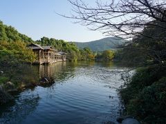 -西湖外事游船(花港观鱼码头)