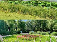 -长春市南湖公园