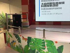 -上海大自然野生昆虫馆(东方明珠·爬宠昆虫探索中心)