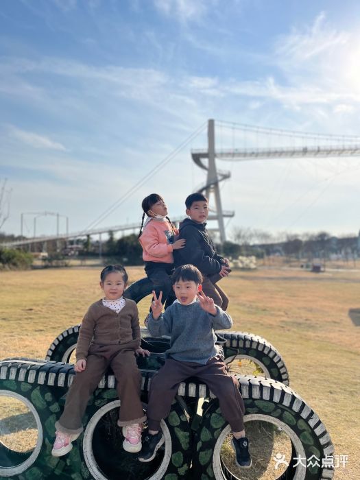 武汉紫薇都市田园图片