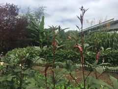 -贵阳市花溪国家城市湿地公园