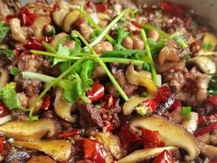 -食神又名厕所兔