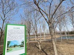 -东郊湿地公园