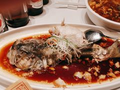 -万荣烤鸭店·北京菜(农光里店)