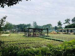 -洪湖家庭农场·团建·露营·会议