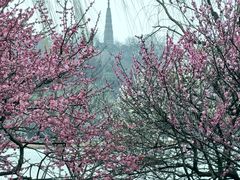 -杭州植物园