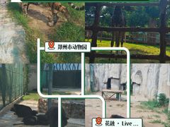 -郑州市动物园