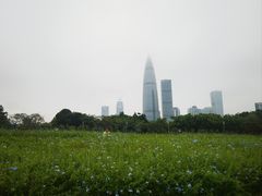 -深圳湾公园(南山区)