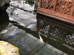 -汤山翠谷生态餐厅