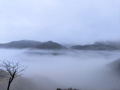 -东白山