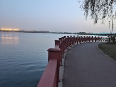 -丁香湖公园
