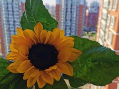 -棒约翰比萨意面(马家堡西路店)