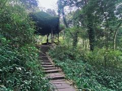 -青城山