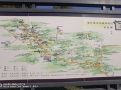 -大唐贡茶院