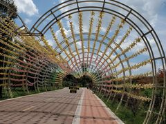 -云漫湖生态度假公园