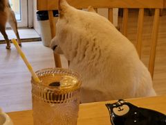 -柴の食堂·日式家庭料理·熊之肆(大学路店)