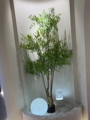 -VE专注问题肌·赛诺龙&科学美肤中心