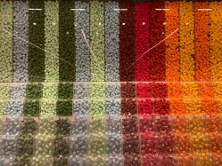 -THE COLORIST调色师