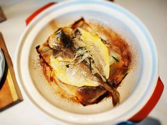 砂锅黄鱼-鱼乐轩·俄罗斯海鲜直供餐厅(群力店)