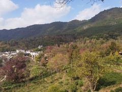 -塔川景区