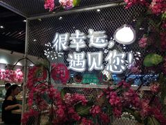 -一笼小幸运
