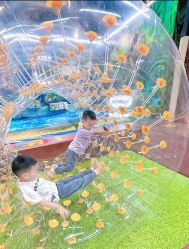 -卡通尼·Safari非洲探索乐园·生日会(金桥国际商业广场店)