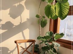 -AHAVA·Fang Baking Studio