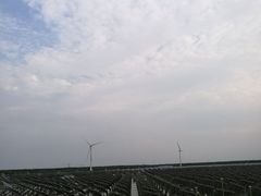 -黄海国家森林公园