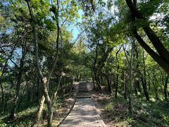 -上海佘山国家森林公园天马山园