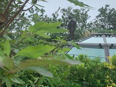 -三鹰之森吉卜力美术馆