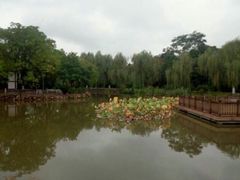 -宝鸡植物园