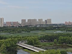 -哈尔滨大剧院