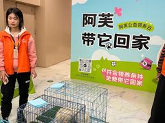 -凯德MALL(望京店)