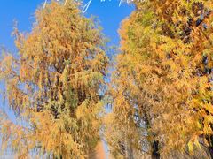 -广富林郊野公园