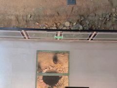 -南越王博物院(王宫展区)