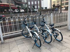 -澳门环岛游湾仔码头