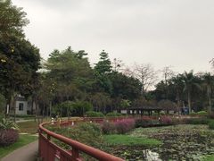 -荔湾湖公园