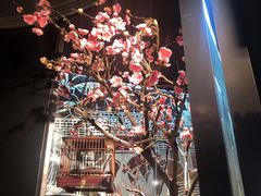 -老板恋上鱼(印象城店)