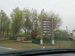 -黄海国家森林公园