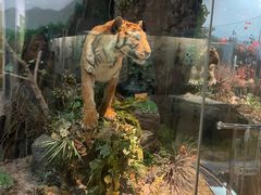 -陕西自然博物馆