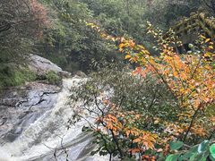 -少华山国家森林公园
