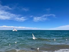 -青海湖国家重点风景名胜区