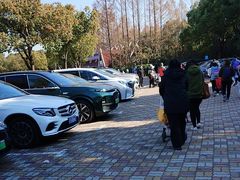 -野生动物园-停车场