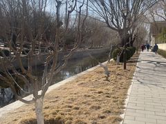 -元大都城垣遗址公园