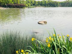 -美兰湖景区