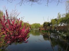 -圩墩遗址公园