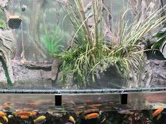 -太平洋海底世界