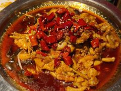 -美蛙四季(黄寺大街店)