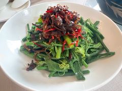 炝油黑皮鸡枞拌麦瓜尖-云腾食府·云南菜