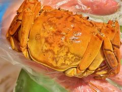 -淮扬府(安定门店)
